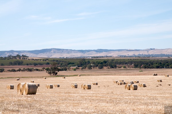 AustraliaEast 10  177-1